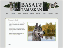 Tablet Screenshot of basalttamaskan.com